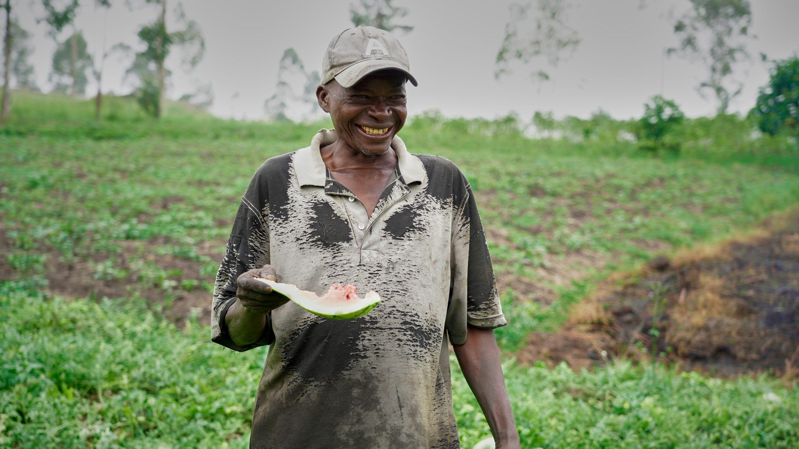 Un homme qui savoure la pastèque 🍉 pour la première fois, il a rencontré l'agriculteur à pleine récolte. 